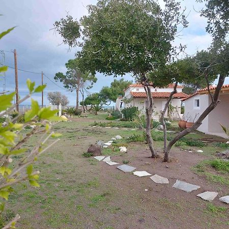 Vintage Beach House Agia Anna  Esterno foto